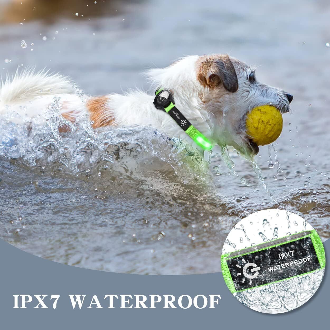 Light Up Dog Collar Waterproof LED Flashing Dog Collars for Night Safety Green