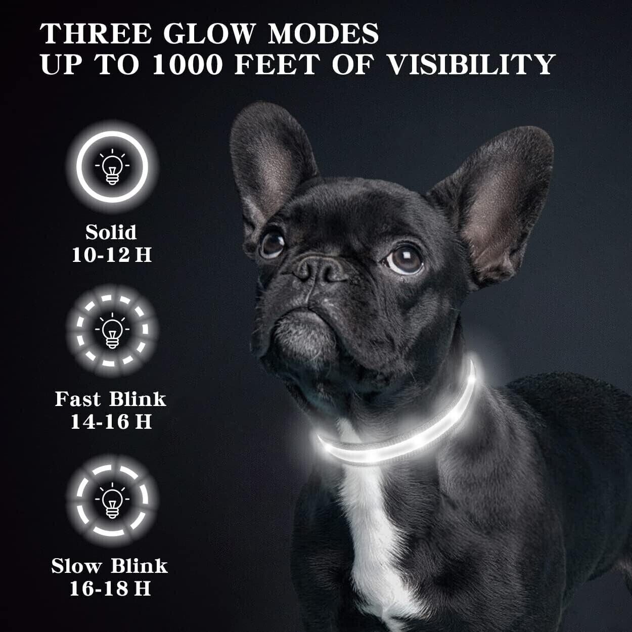 Light Up Dog Collar Waterproof LED Flashing Dog Collars for Night Safety Black