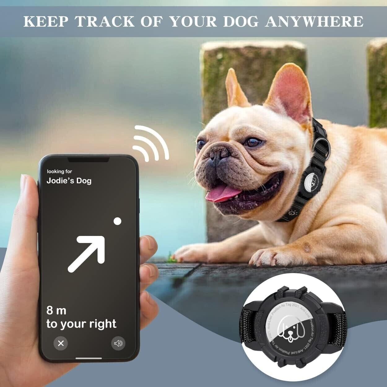 Light Up Dog Collar Waterproof LED Flashing Dog Collars for Night Safety Black